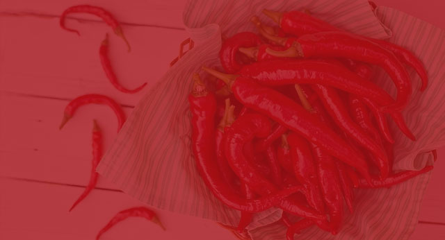 TG��������(�й���)�ٷ���վ