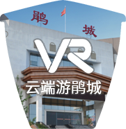 vrimg