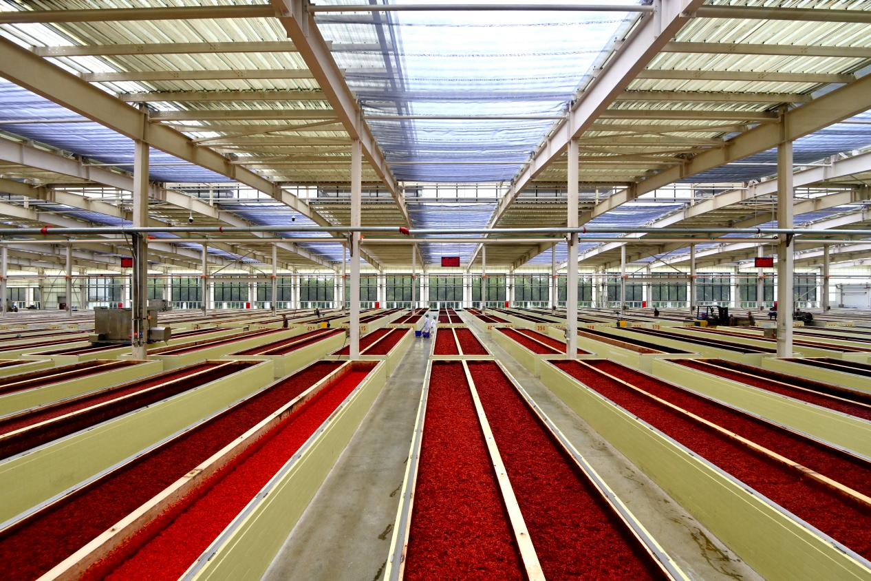 206cc9709e1b595eb49cab82df1300ed 206cc9709e1b595eb49cab82df1300ed