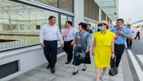 1591147262937707.jpg 1591147262937707.jpg